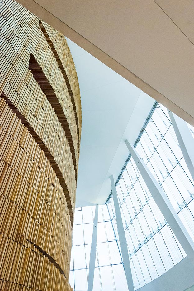 portfolio-custom-style-image-2 p